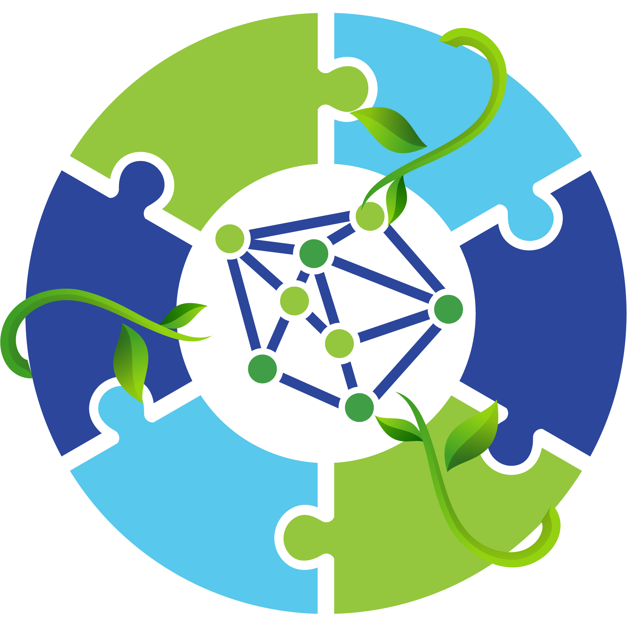 ICON-Networks & Partnerships